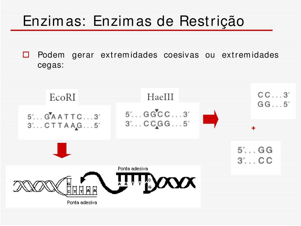 extremidades coesivas