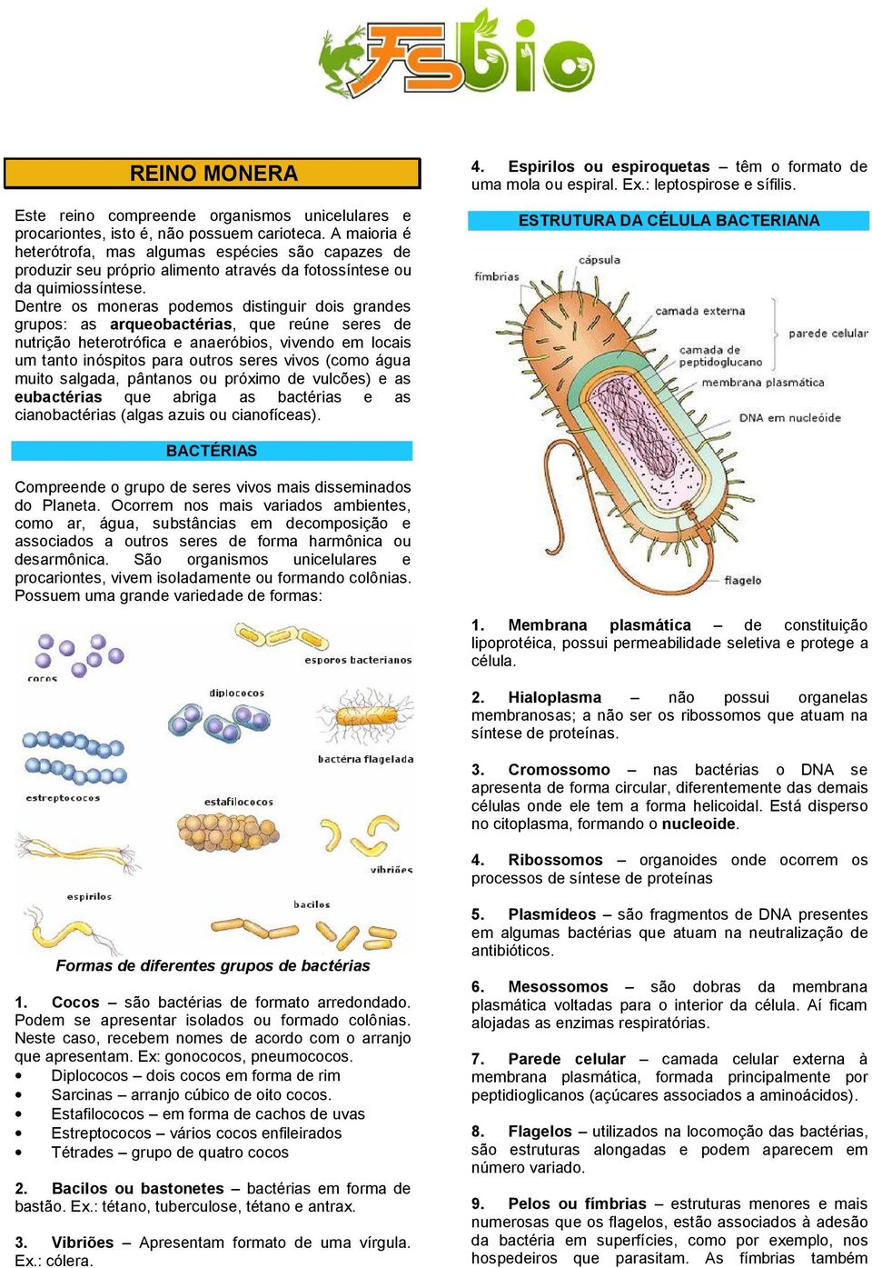 Dentre os moneras podemos distinguir dois grandes grupos: as arqueobactérias, que reúne seres de nutrição heterotrófica e anaeróbios, vivendo em locais um tanto inóspitos para outros seres vivos