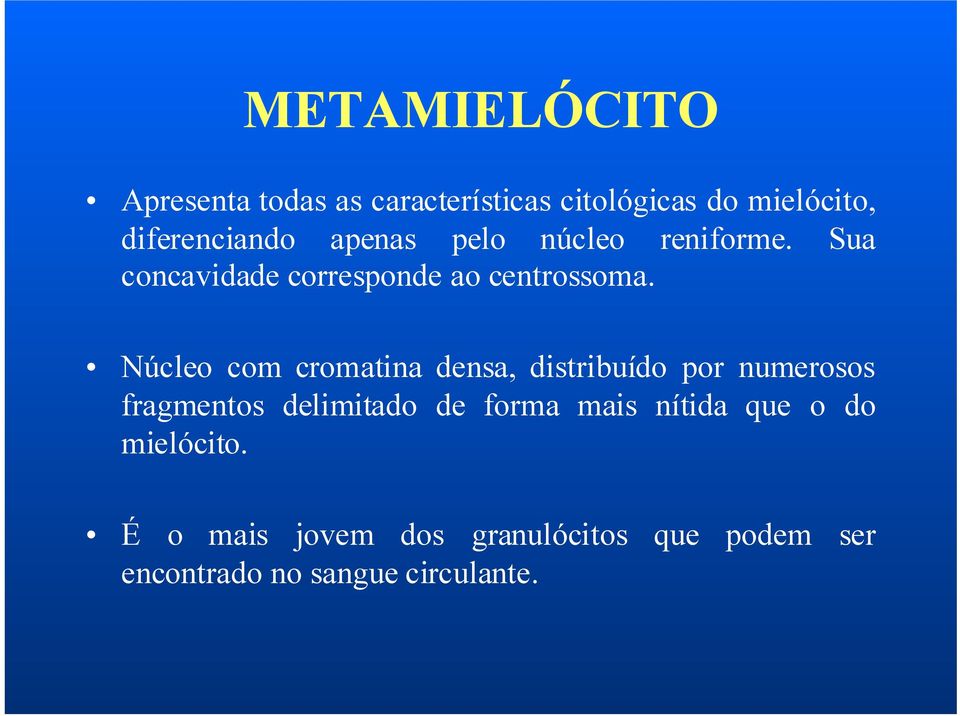 Núcleo com cromatina densa, distribuído por numerosos fragmentos delimitado de forma mais