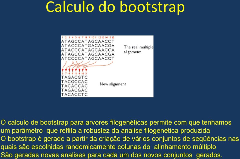 partir da criação de vários conjuntos de seqüências nas quais são escolhidas randomicamente