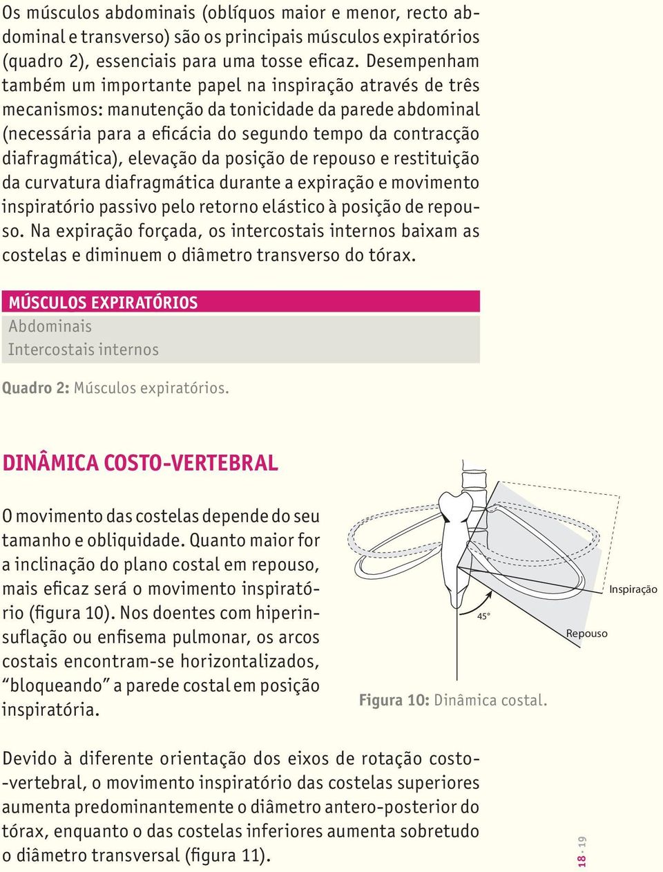 diafragmática), elevação da posição de repouso e restituição da curvatura diafragmática durante a expiração e movimento inspiratório passivo pelo retorno elástico à posição de repouso.