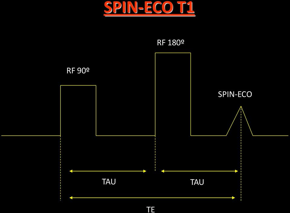 90º SPIN-ECO