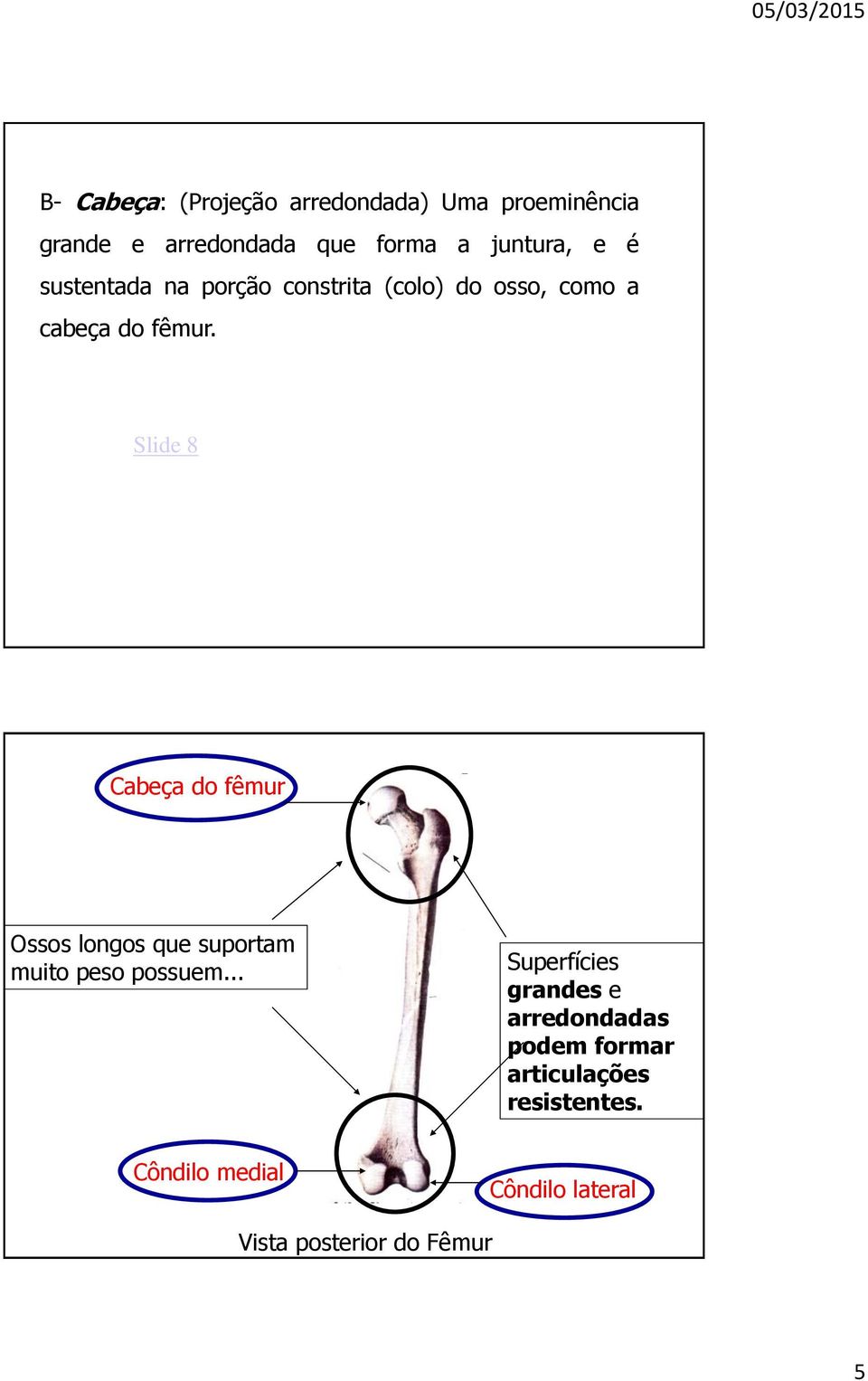 Slide 8 Cabeça do fêmur Ossos longos que suportam muito peso possuem.