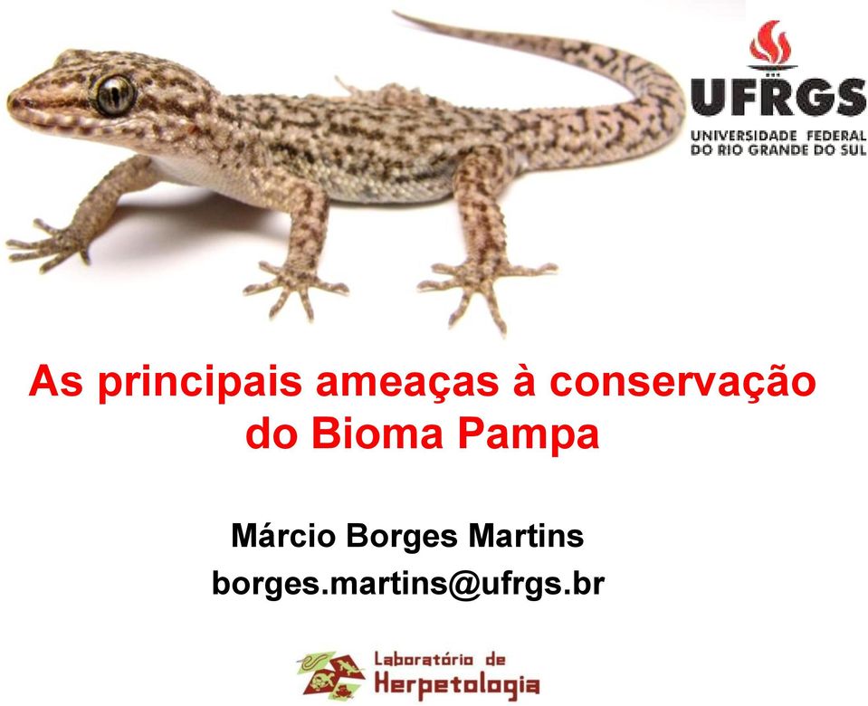 Pampa Márcio Borges