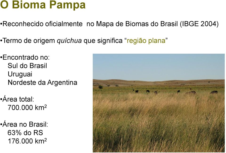 região plana Encontrado no: Sul do Brasil Uruguai Nordeste da