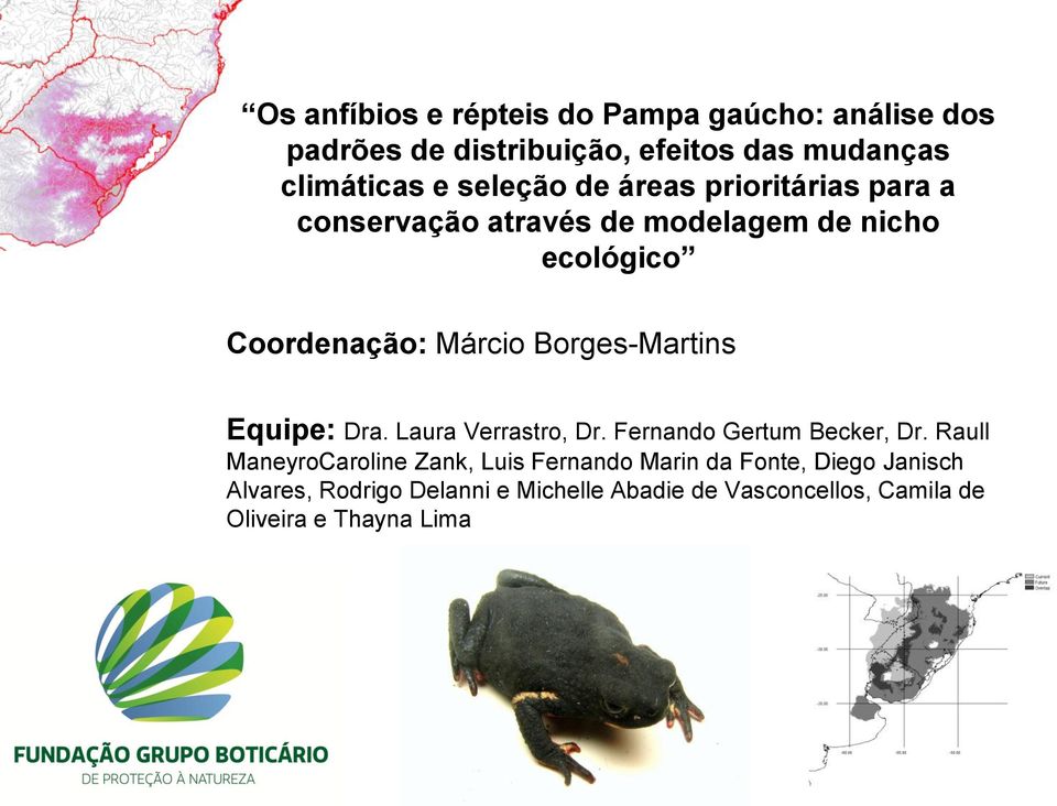 Borges-Martins Equipe: Dra. Laura Verrastro, Dr. Fernando Gertum Becker, Dr.