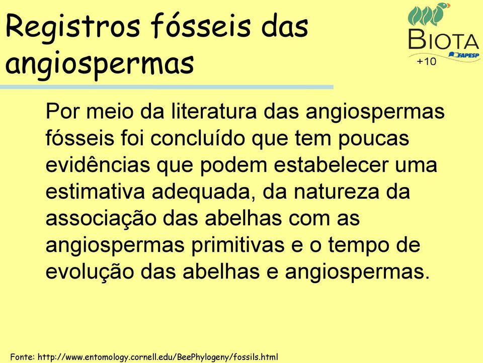 natureza da associação das abelhas com as angiospermas primitivas e o tempo de evolução