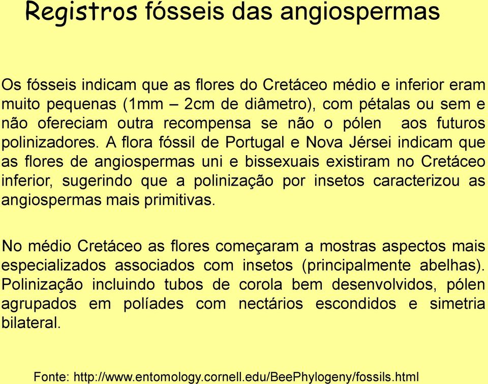 A flora fóssil de Portugal e Nova Jérsei indicam que as flores de angiospermas uni e bissexuais existiram no Cretáceo inferior, sugerindo que a polinização por insetos caracterizou as