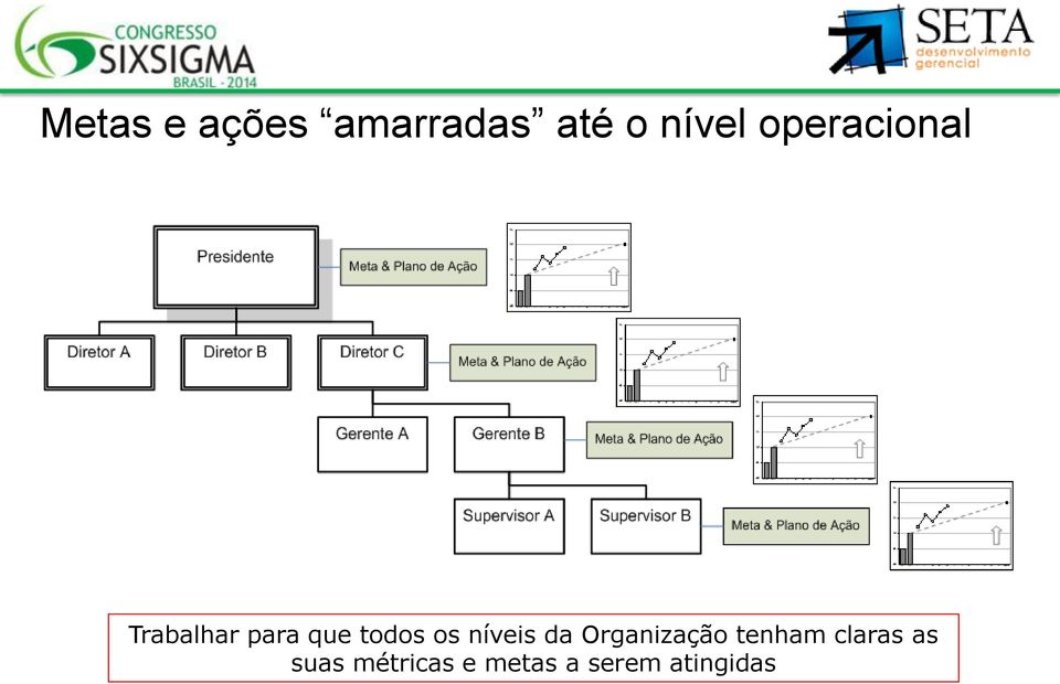 os níveis da Organização tenham claras