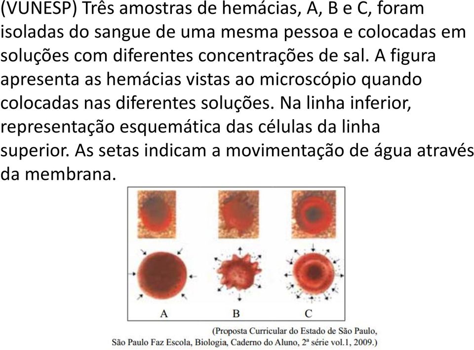 A figura apresenta as hemácias vistas ao microscópio quando colocadas nas diferentes soluções.