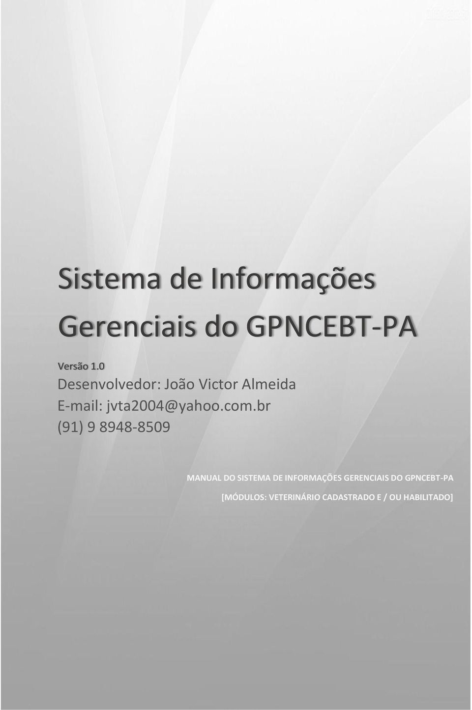 com.br (91) 9 8948-8509 MANUAL DO SISTEMA DE INFORMAÇÕES