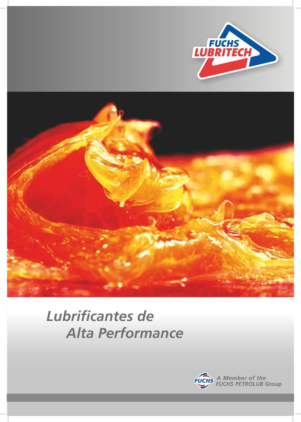 Lubrificantes de Alta Performance. A Member of the FUCHS PETROLUB Group -  PDF Download grátis
