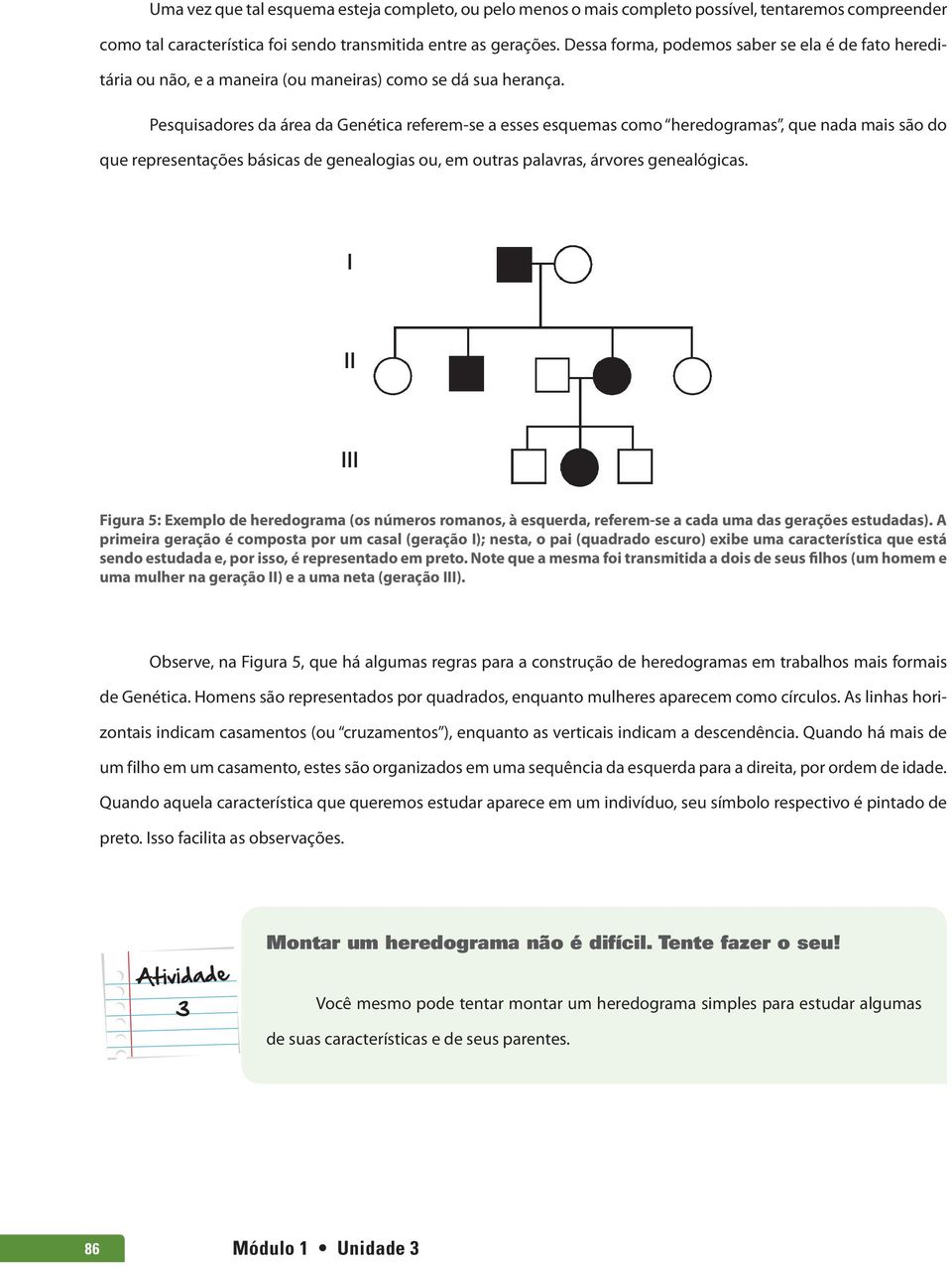 Pesquisadores da área da Genética referem-se a esses esquemas como heredogramas, que nada mais são do que representações básicas de genealogias ou, em outras palavras, árvores genealógicas.