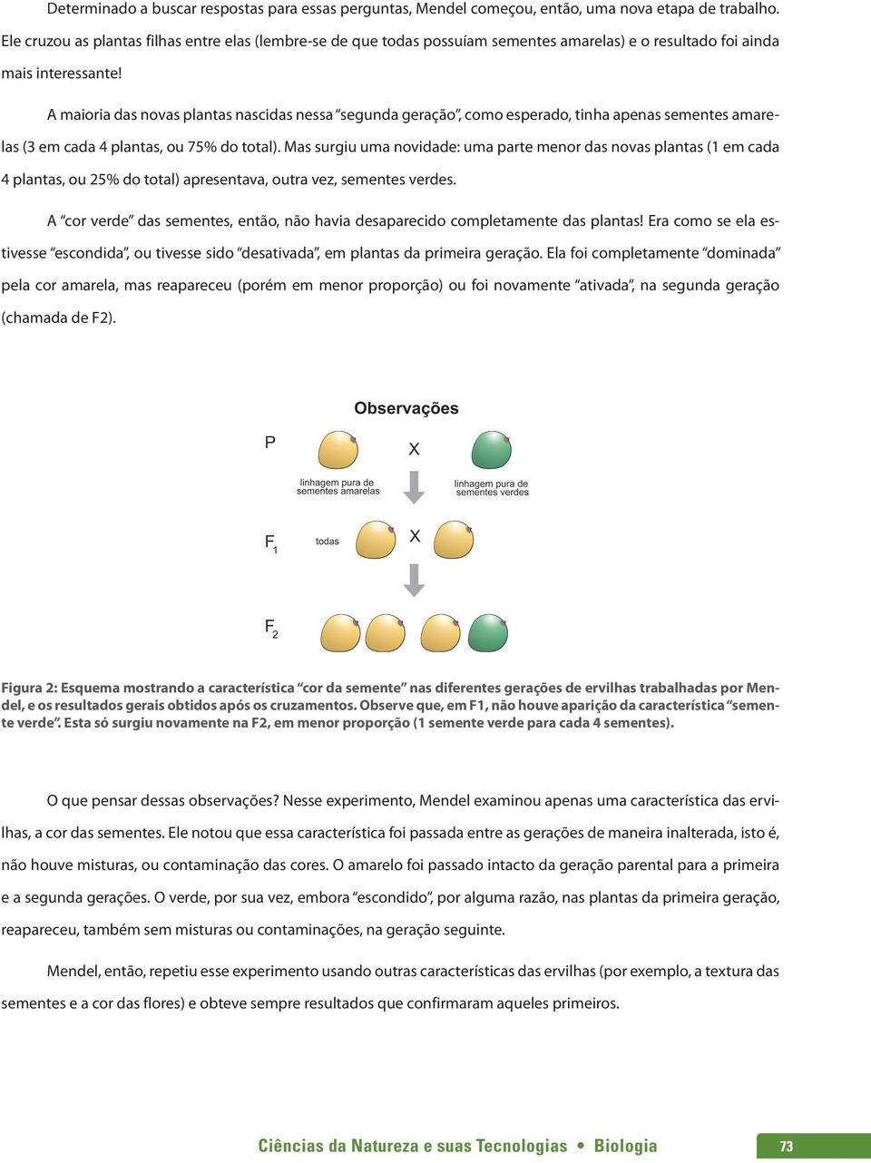 A maioria das novas plantas nascidas nessa segunda geração, como esperado, tinha apenas sementes amarelas (3 em cada 4 plantas, ou 75% do total).