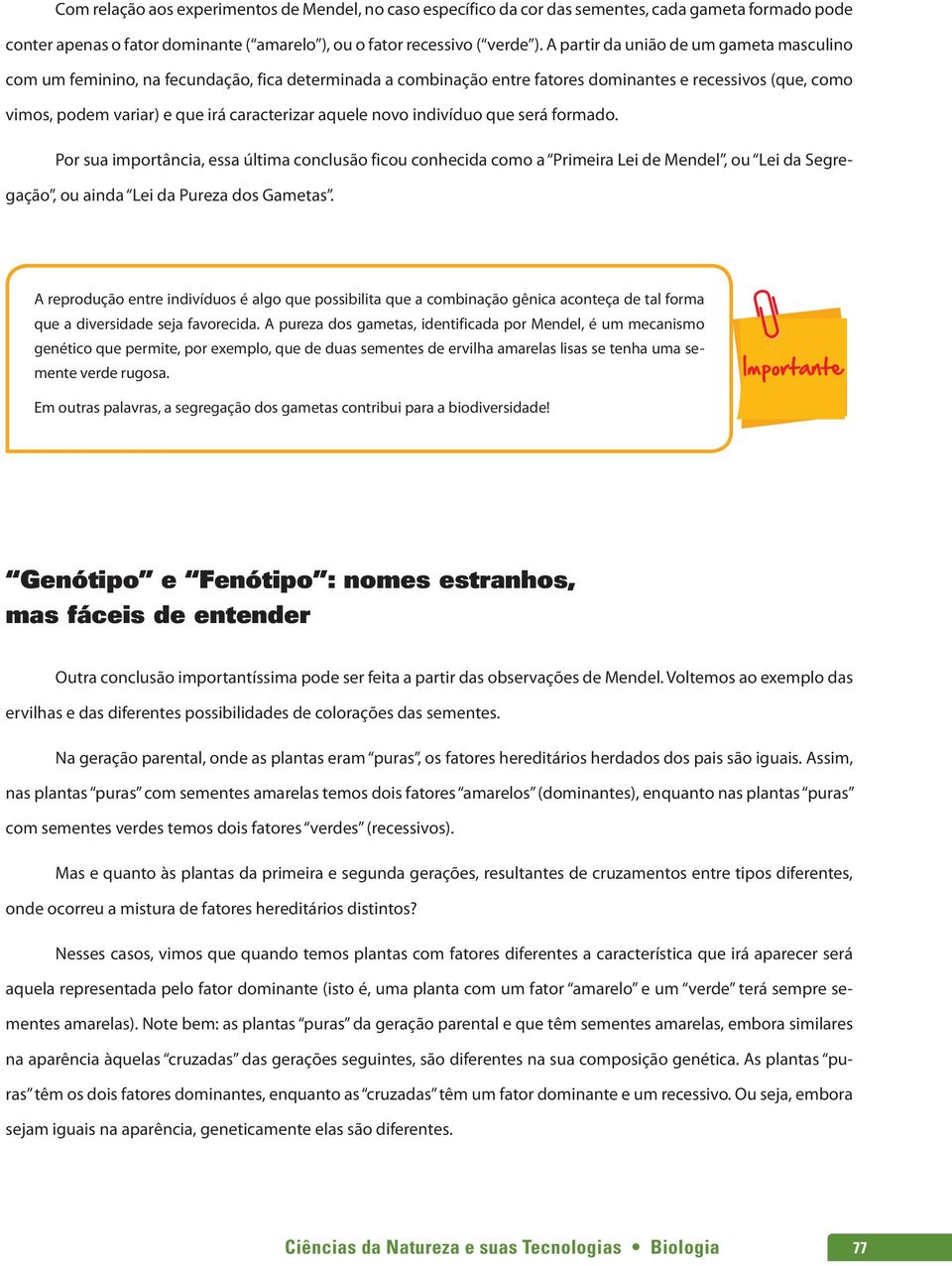 aquele novo indivíduo que será formado. Por sua importância, essa última conclusão ficou conhecida como a Primeira Lei de Mendel, ou Lei da Segregação, ou ainda Lei da Pureza dos Gametas.