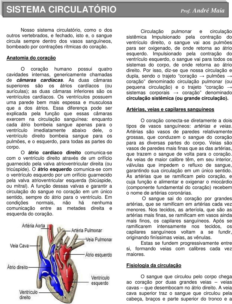 Anatomia do coração O coração humano possui quatro cavidades internas, genericamente chamadas de câmaras cardíacas.