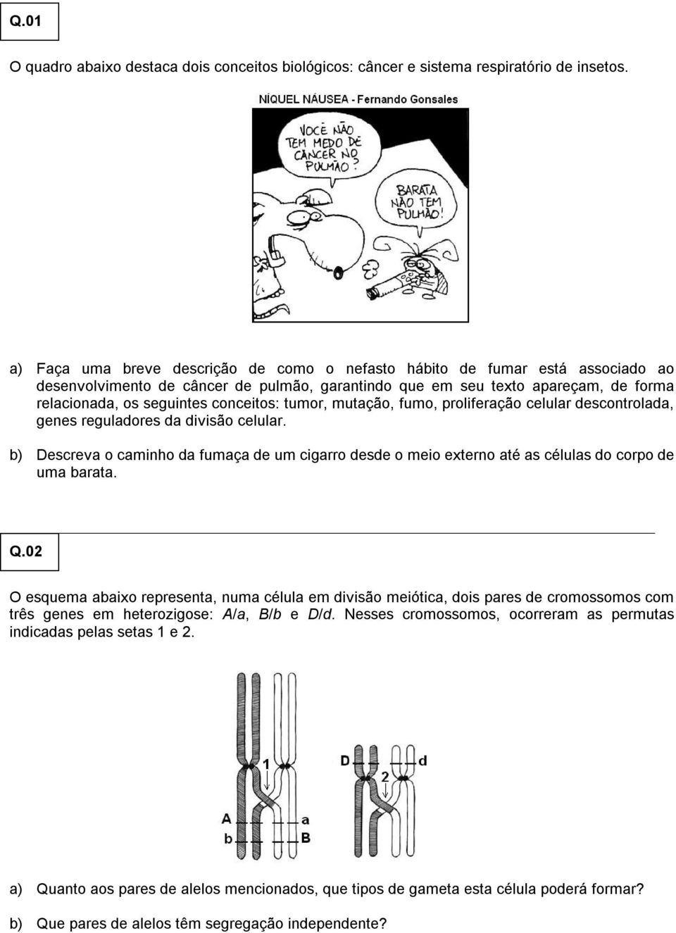 conceitos: tumor, mutação, fumo, proliferação celular descontrolada, genes reguladores da divisão celular.