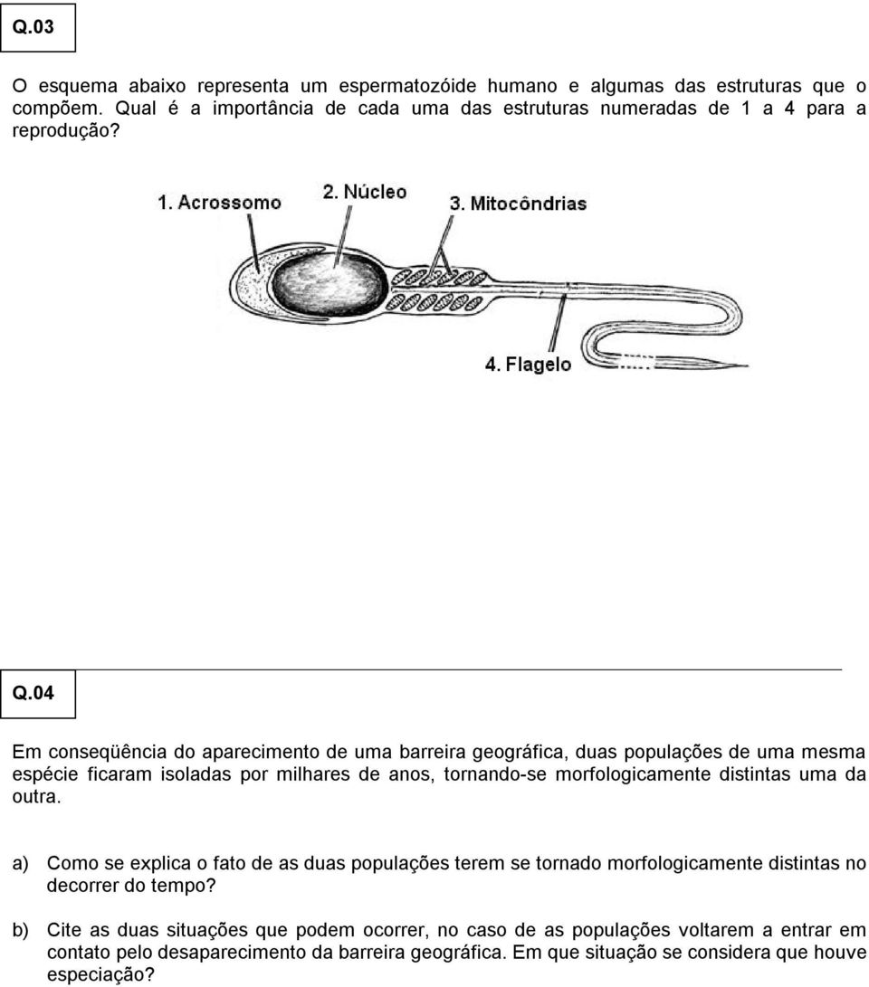 04 Em conseqüência do aparecimento de uma barreira geográfica, duas populações de uma mesma espécie ficaram isoladas por milhares de anos, tornando-se morfologicamente