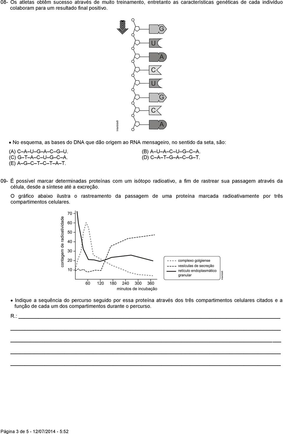 09- É possível marcar determinadas proteínas com um isótopo radioativo, a fim de rastrear sua passagem através da célula, desde a síntese até a excreção.