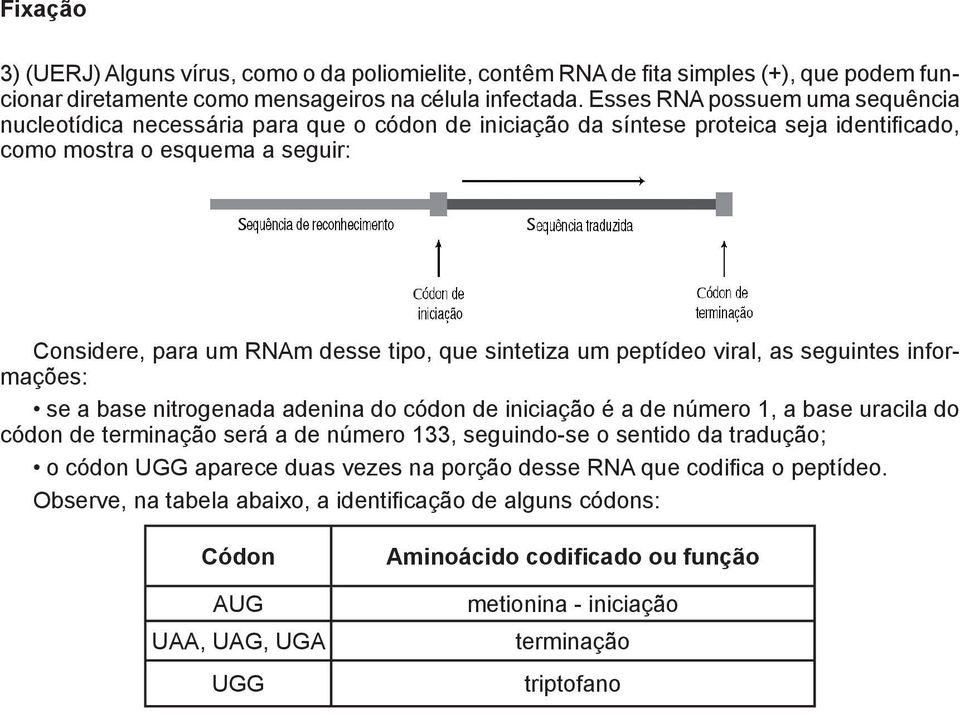 sintetiza um peptídeo viral, as seguintes informações: se a base nitrogenada adenina do códon de iniciação é a de número 1, a base uracila do códon de terminação será a de número 133, seguindo-se o