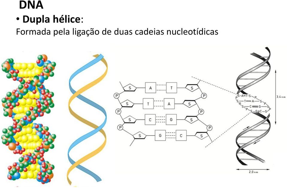 pela ligação de