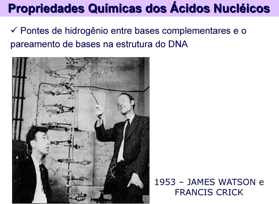 bases complementares e o pareamento de