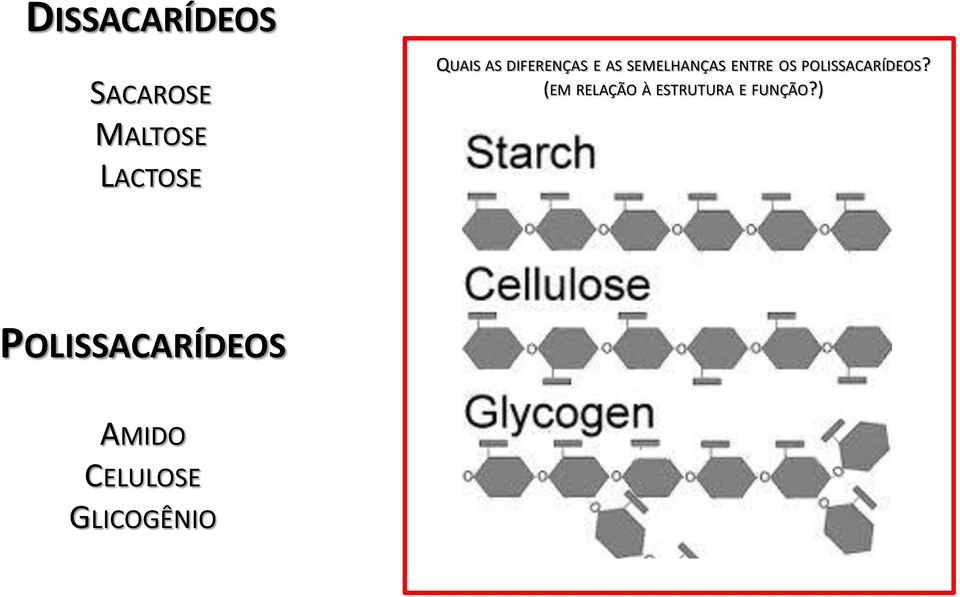 POLISSACARÍDEOS?