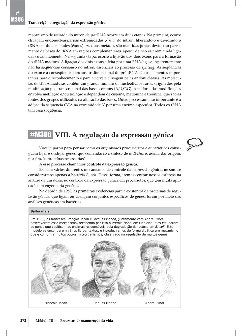 As duas metades são mantidas juntas devido ao pareamento de bases do trna em regiões complementares, apesar de não estarem ainda ligadas covalentemente.