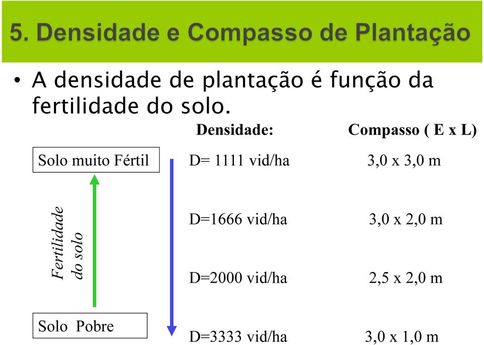 vid/ha 3,0 x 3,0 m Fertilidade do solo D=1666 vid/ha 3,0 x