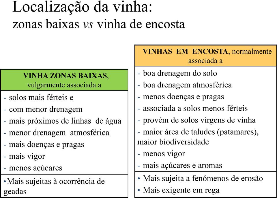 normalmente associada a - boa drenagem do solo - boa drenagem atmosférica - menos doenças e pragas - associada a solos menos férteis - provém de solos virgens