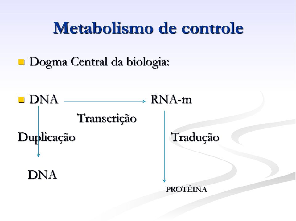 DNA Duplicação Transcrição