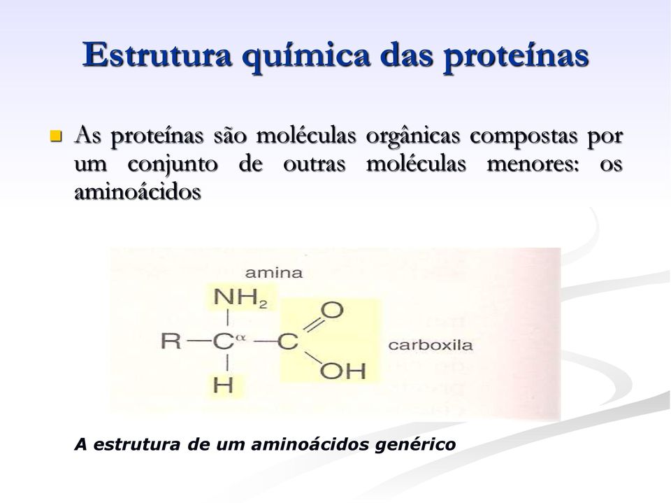 conjunto de outras moléculas menores: os