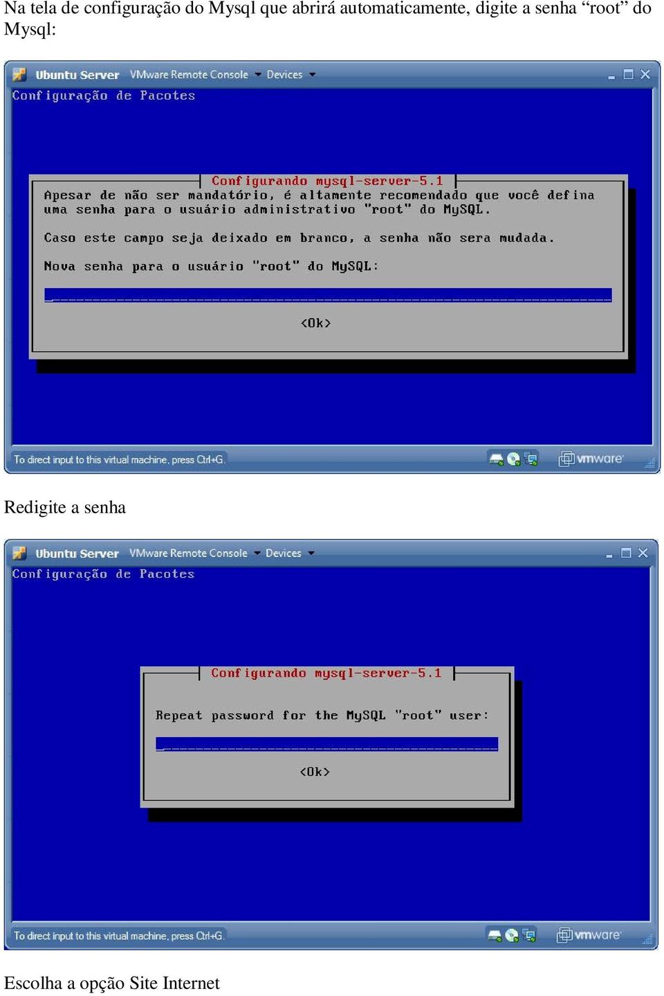 a senha root do Mysql: Redigite a