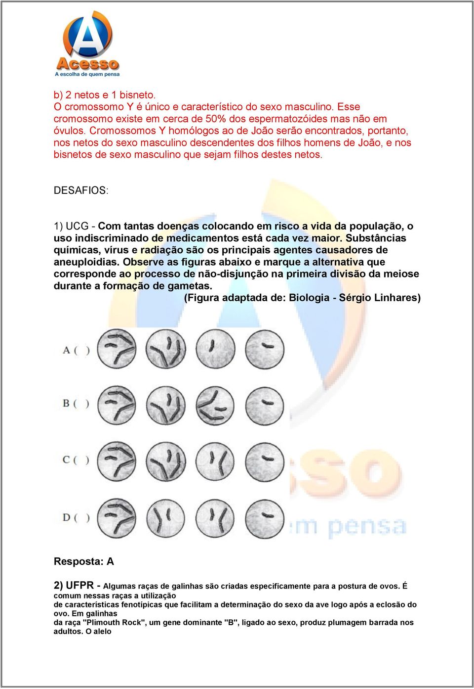 DESAFIOS: 1) UCG - Com tantas doenças colocando em risco a vida da população, o uso indiscriminado de medicamentos está cada vez maior.