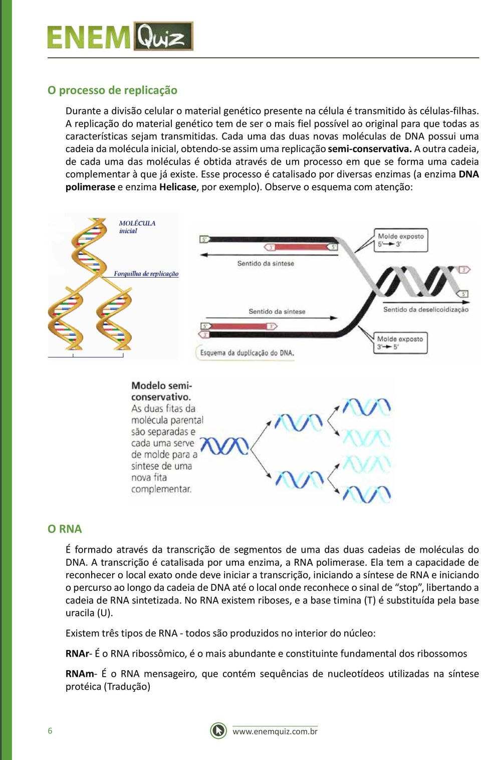 Cada uma das duas novas moléculas de DNA possui uma cadeia da molécula inicial, obtendo-se assim uma replicação semi-conservativa.