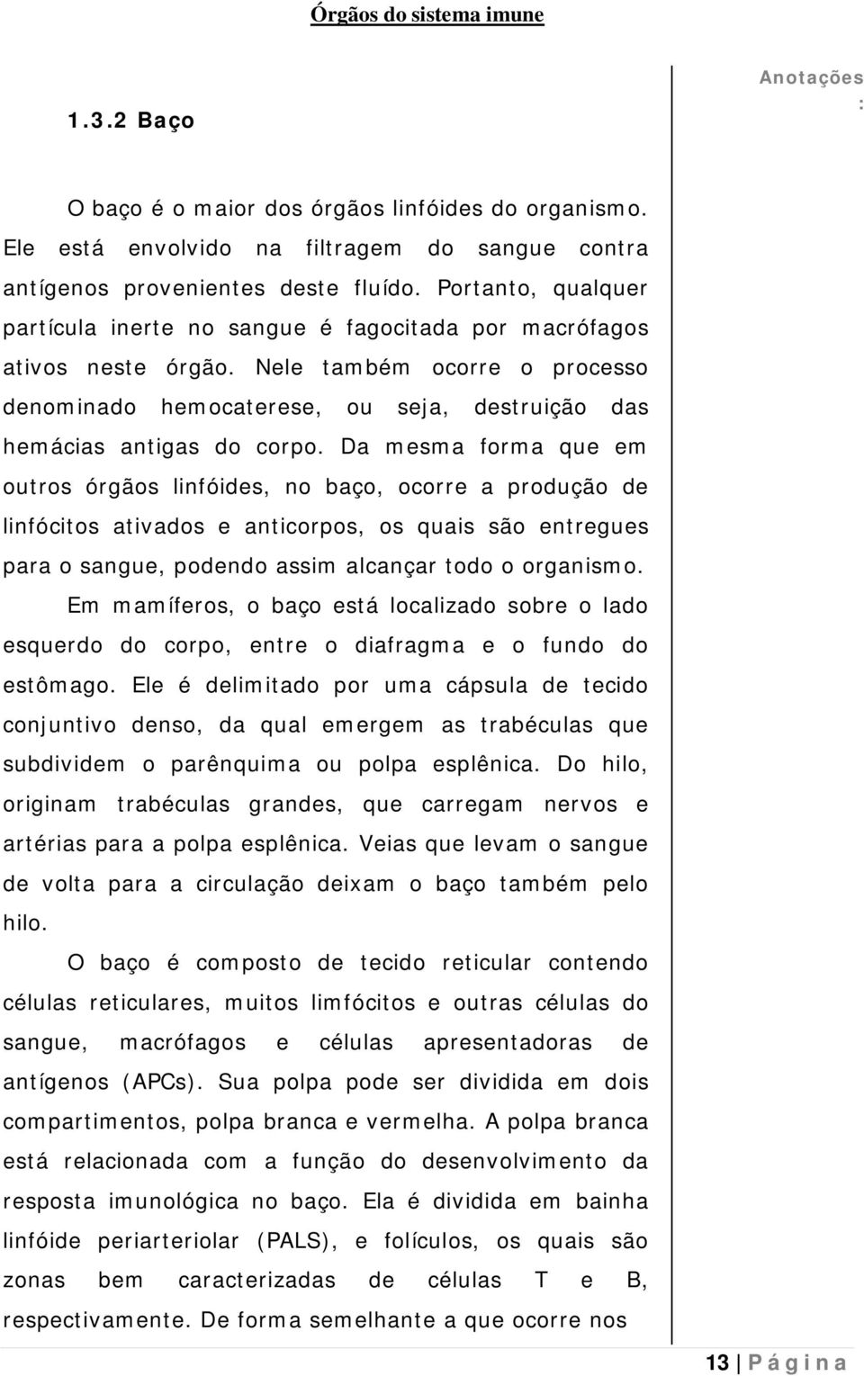 Da mesma forma que em outros órgãos linfóides, no baço, ocorre a produção de linfócitos ativados e anticorpos, os quais são entregues para o sangue, podendo assim alcançar todo o organismo.