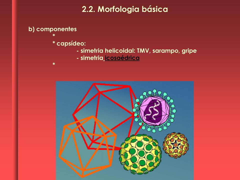 simetria helicoidal: TMV,