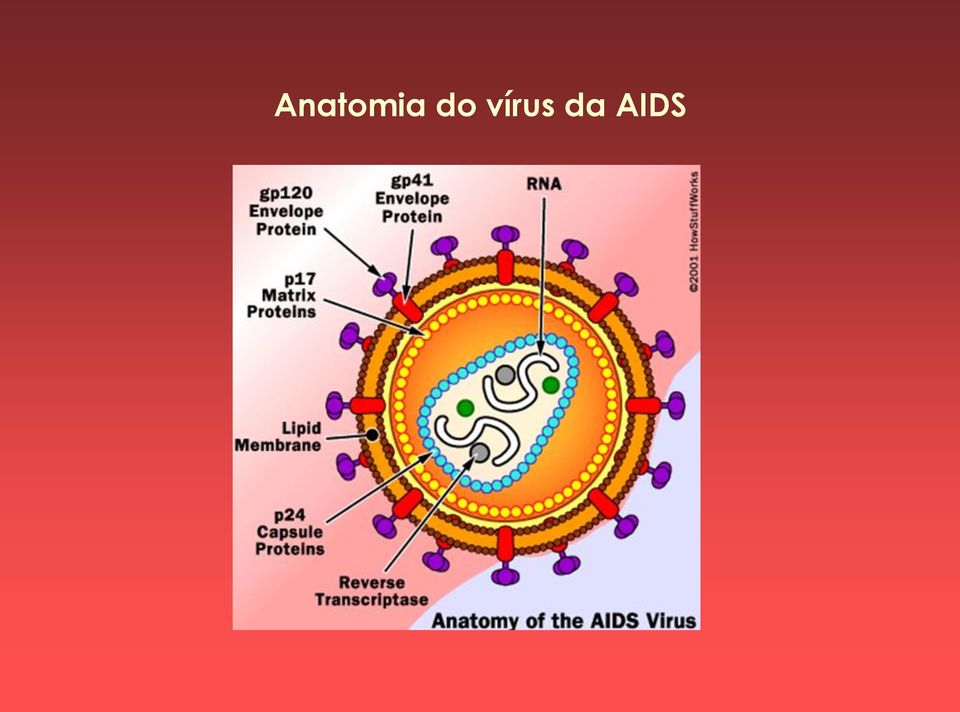 da AIDS