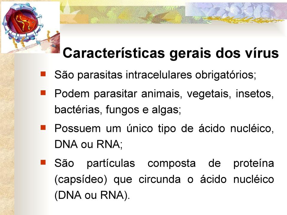 fungos e algas; Possuem um único tipo de ácido nucléico, DNA ou RNA; São