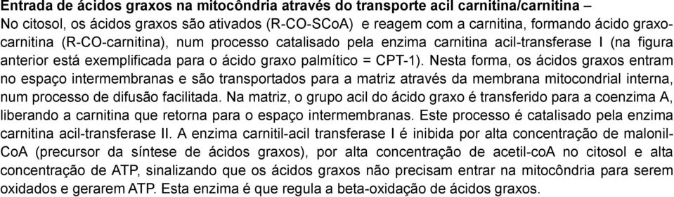 Nesta forma, os ácidos graxos entram no espaço intermembranas e são transportados para a matriz através da membrana mitocondrial interna, num processo de difusão facilitada.