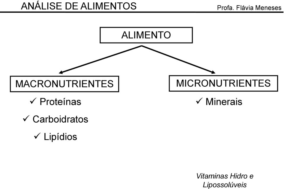 Lipídios MICRONUTRIENTES