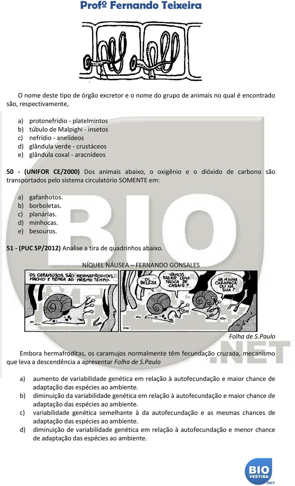 gafanhotos. b) borboletas. c) planárias. d) minhocas. e) besouros. 51 - (PUC SP/2012) Analise a tira de quadrinhos abaixo. NÍQUEL NÁUSEA FERNANDO GONSALES Folha de S.