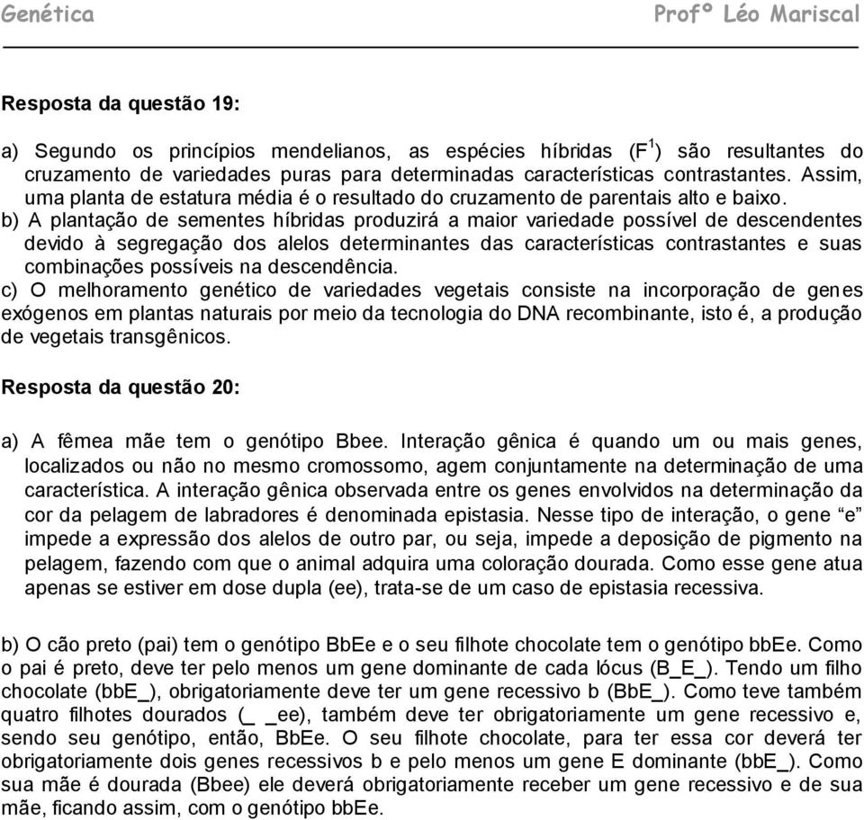 b) A plantação de sementes híbridas produzirá a maior variedade possível de descendentes devido à segregação dos alelos determinantes das características contrastantes e suas combinações possíveis na