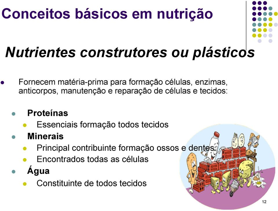 células e tecidos: Proteínas Essenciais formação todos tecidos Minerais Principal