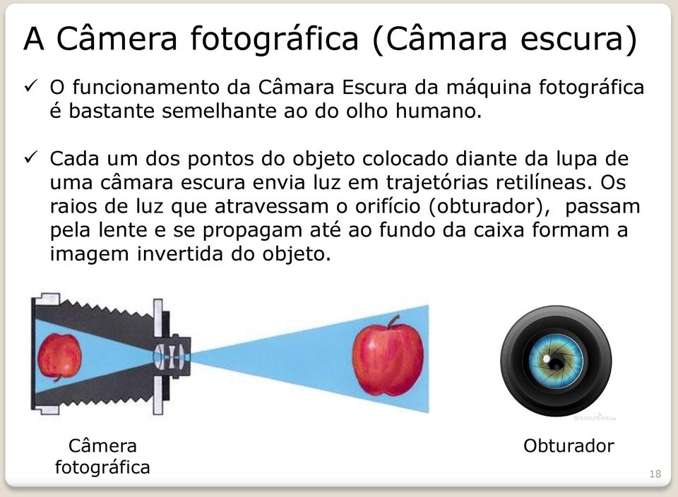 Cada um dos pontos do objeto colocado diante da lupa de uma câmara escura envia luz em trajetórias