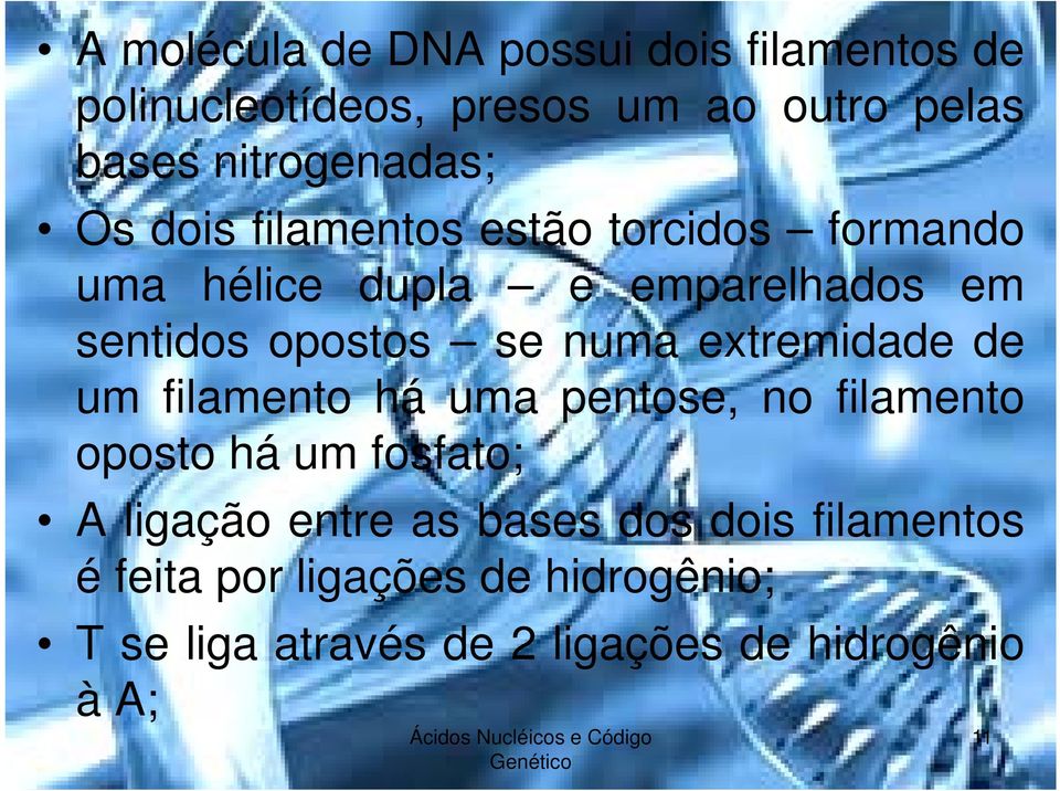 extremidade de um filamento há uma pentose, no filamento oposto há um fosfato; A ligação entre as bases