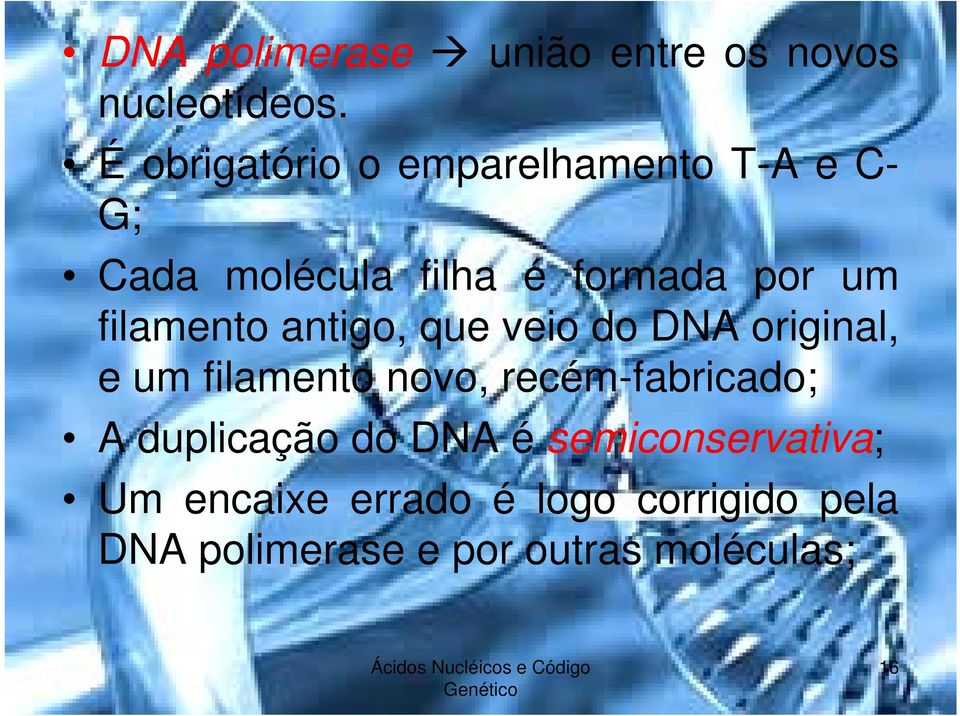 filamento antigo, que veio do DNA original, e um filamento novo, recém-fabricado; A