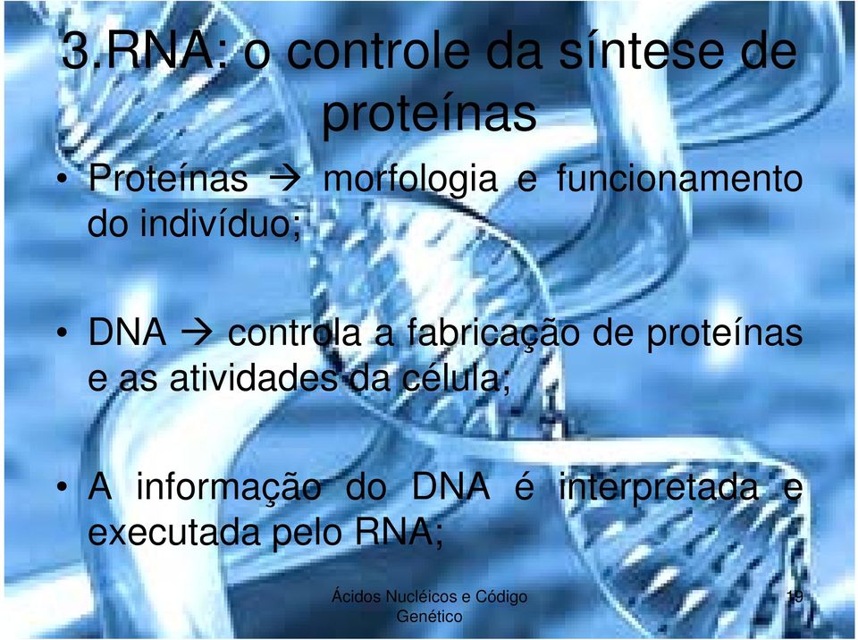 afabricação de proteínas e as atividades da célula; A