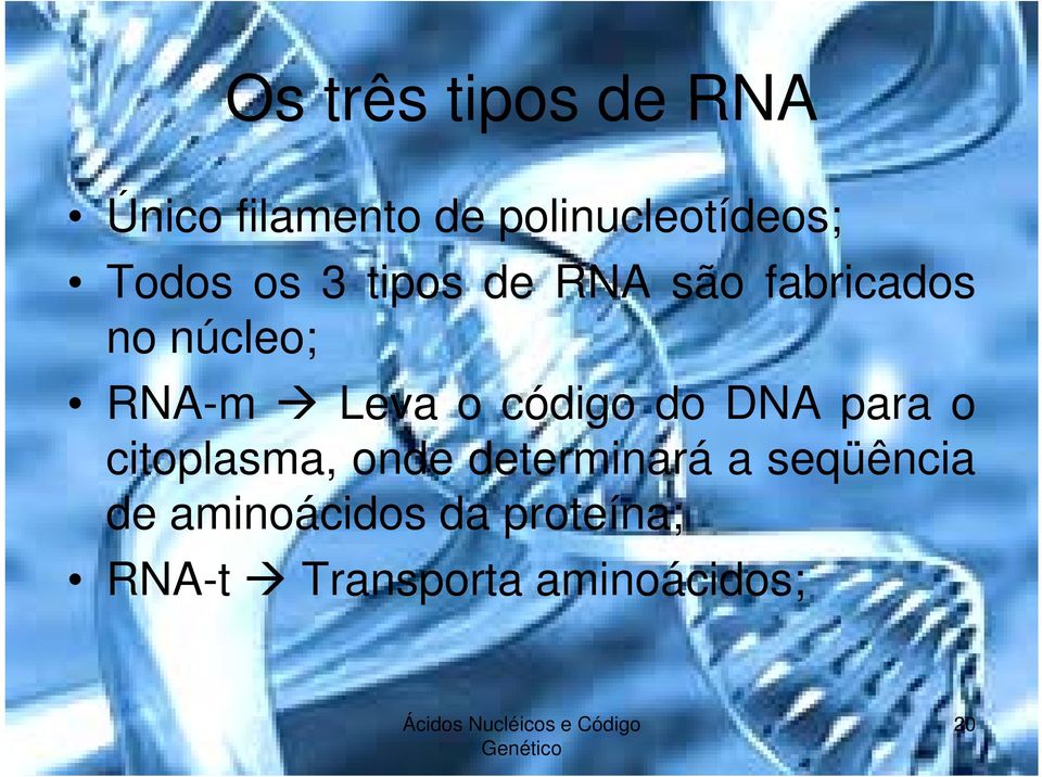 o código do DNA para o citoplasma, onde determinará a