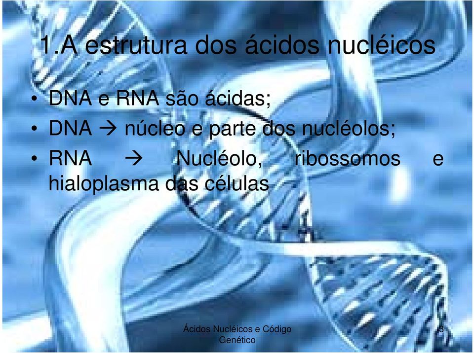 parte dos nucléolos; RNA Nucléolo,